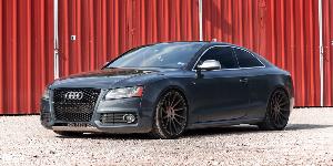 Audi S5 with Niche Forged Invert